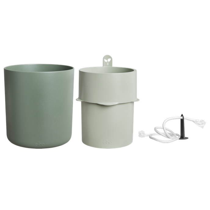 bouncy basil laubgrün